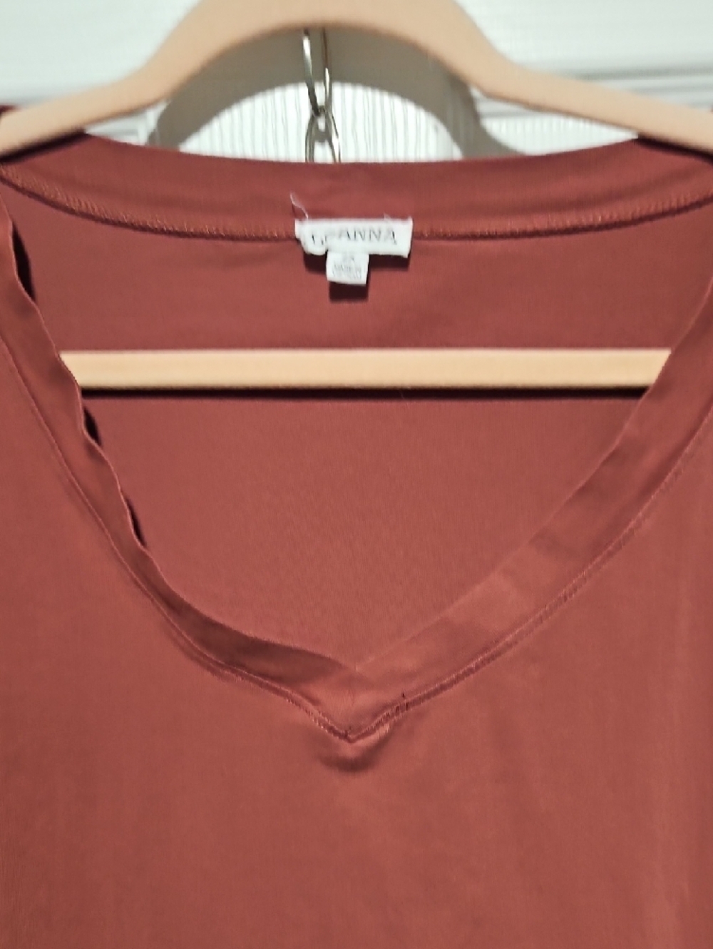 Rust Color Tee - Picture 3 of 3
